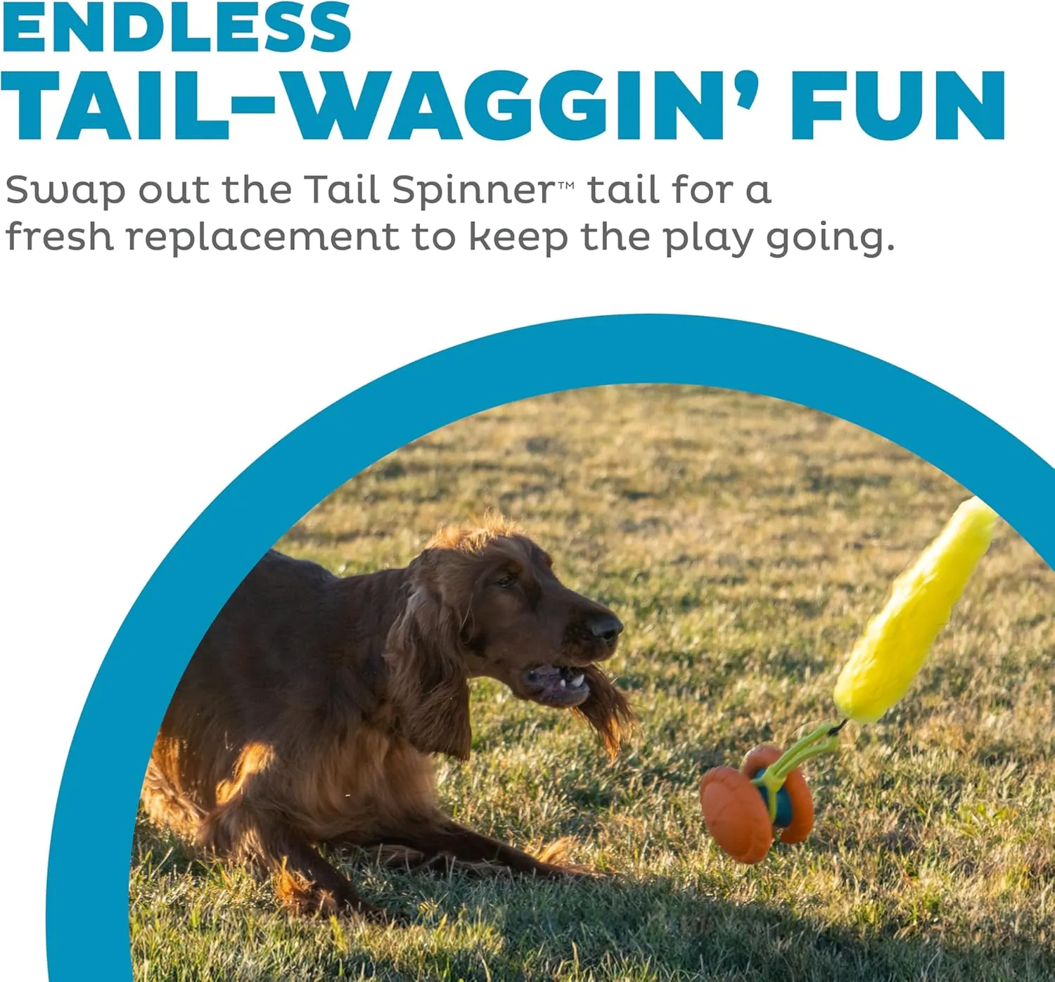Outward Hound Replacement Tails for Tail Spinner Dog Chase Toy