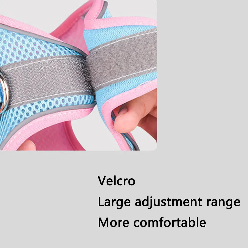 PAWS ASIA Supplier Breathable Mesh Reflective Luxury Adjustable Cute Dog Harness And Leash Set