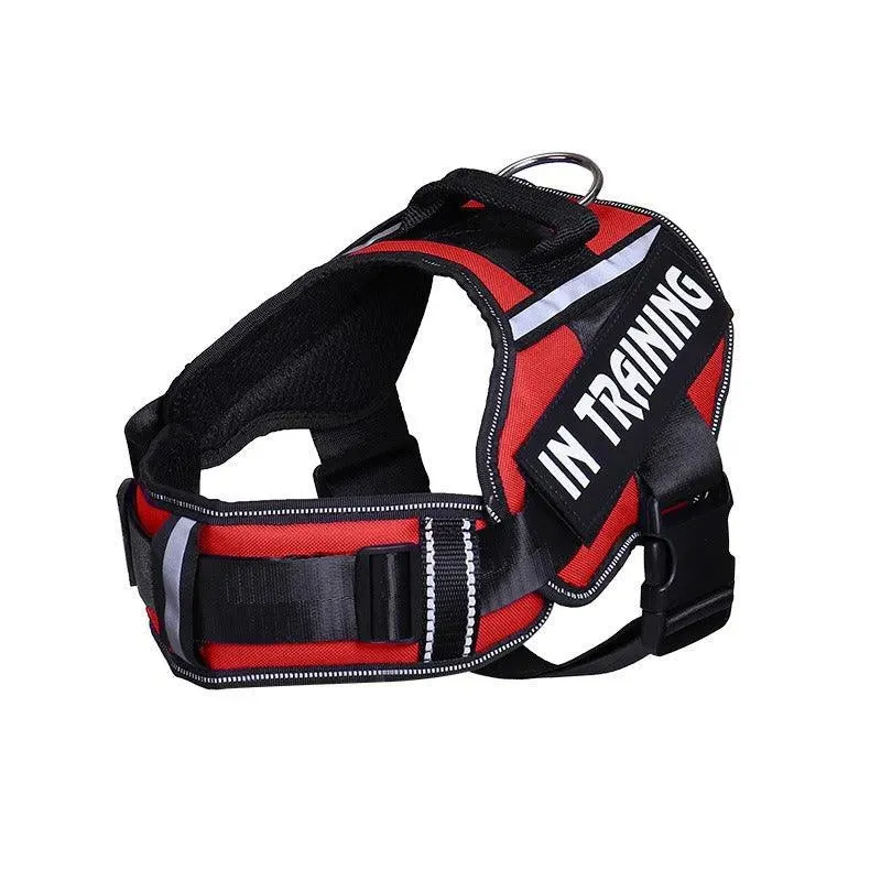 Personalized Reflective Neck Guard Dog Chest Strap