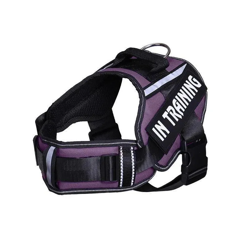 Personalized Reflective Neck Guard Dog Chest Strap