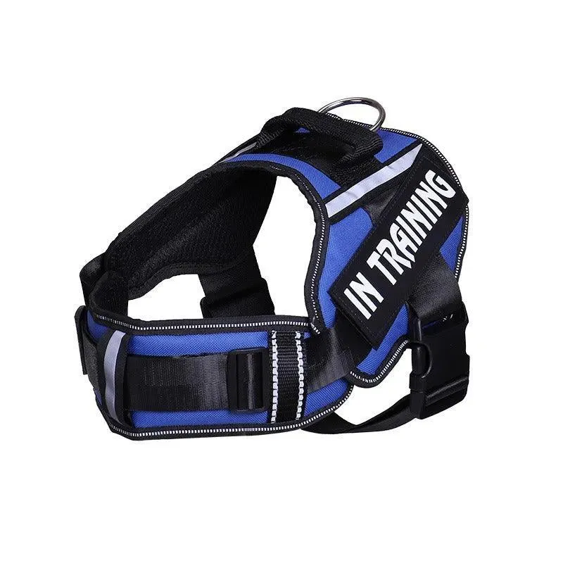 Personalized Reflective Neck Guard Dog Chest Strap