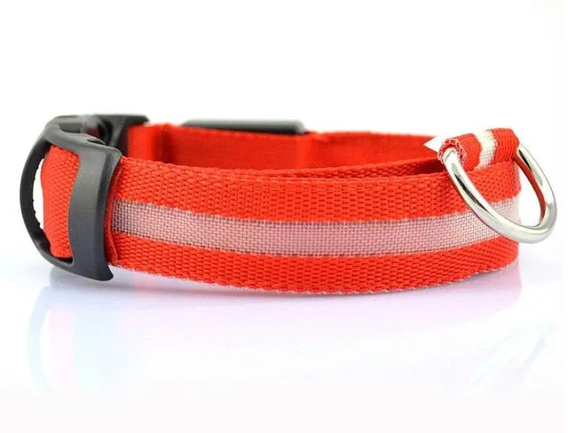 Pet Dog Flashing Nylon Safety Night Collar