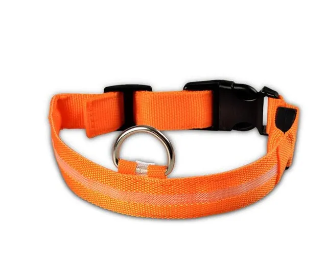 Pet Dog Flashing Nylon Safety Night Collar