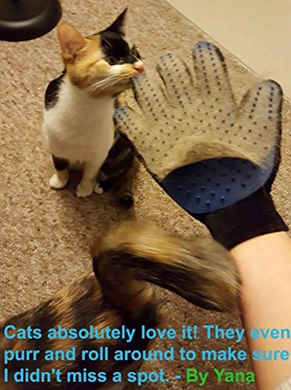 Pet Grooming Glove - Gentle Deshedding Brush Glove - Efficient Pet Hair Remover Mitt - Enhanced Five Finger Design - Perfect for Dog & Cat with Long & Short Fur