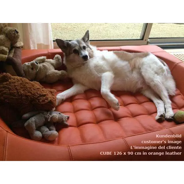 Pet Interiors Cube Genuine Leather Dog Bed