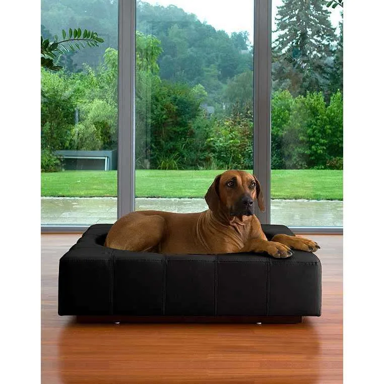 Pet Interiors Cube Genuine Leather Dog Bed