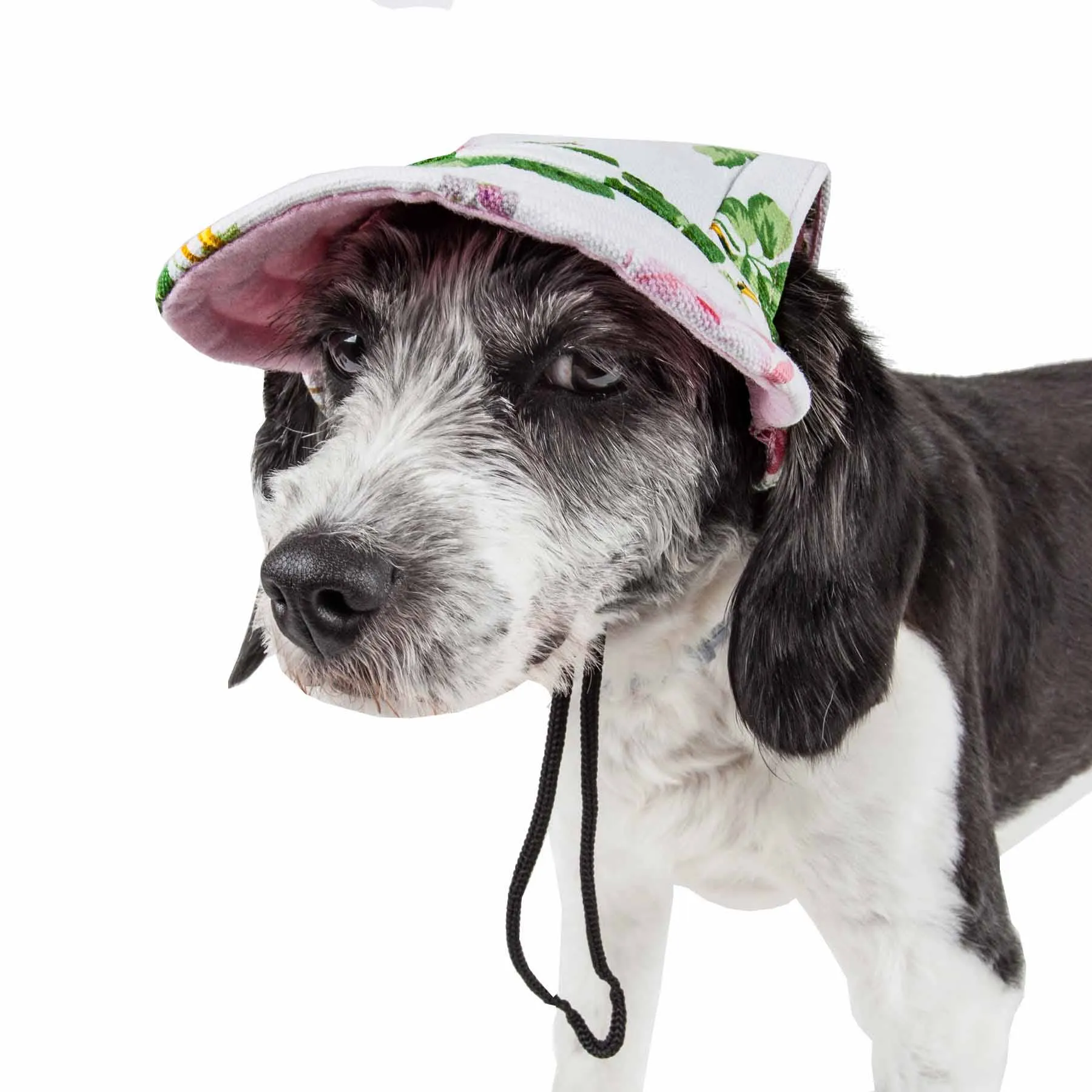 Pet Life 'Botanic Bark' Floral Uv Protectant Dog Hat Cap