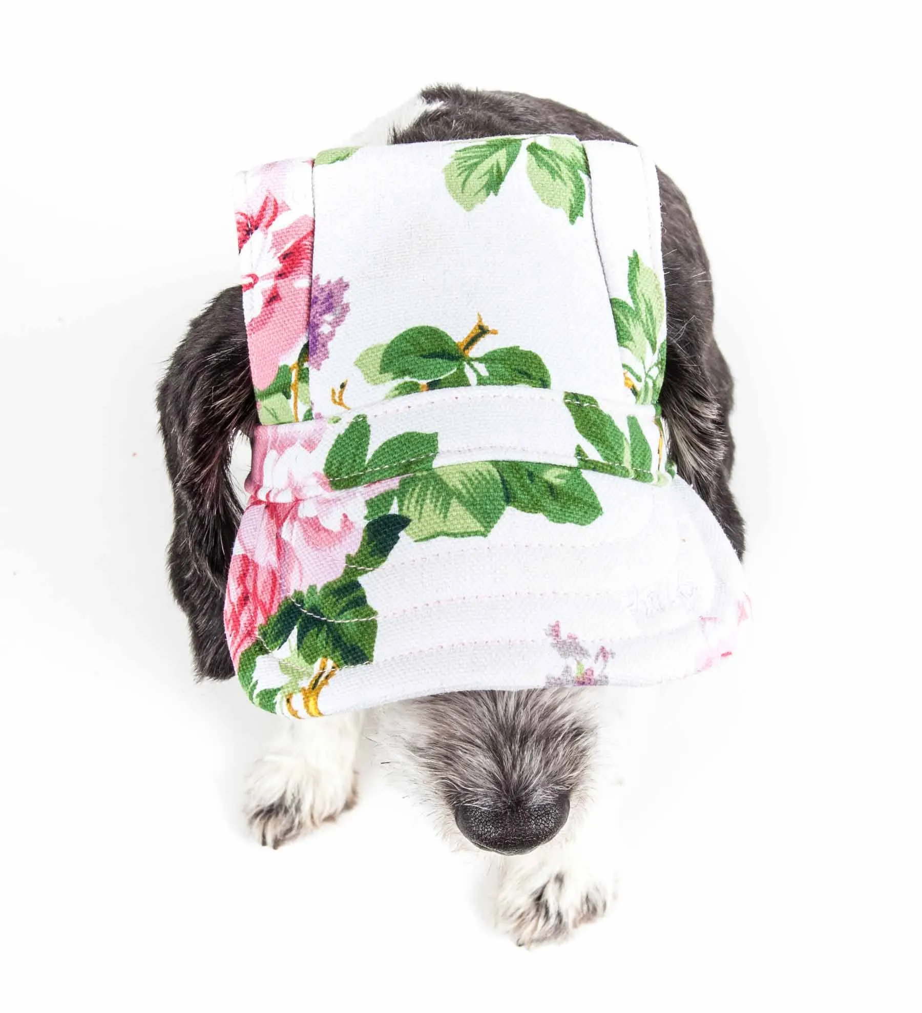 Pet Life 'Botanic Bark' Floral Uv Protectant Dog Hat Cap