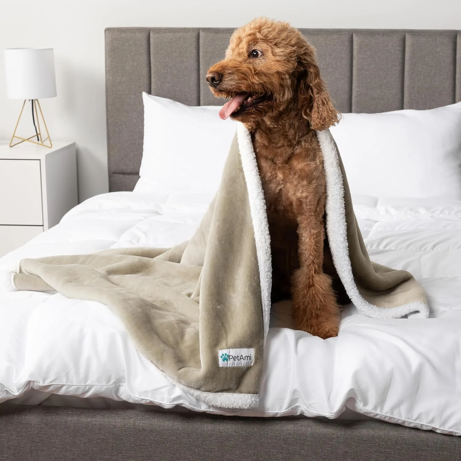 PetAmi Waterproof Dog Blanket for Small Medium Dog Puppy Cat Throw for Couch Cover Leakproof Protection, Sherpa Fleece, Reversible Soft Washable 29x40 Taupe