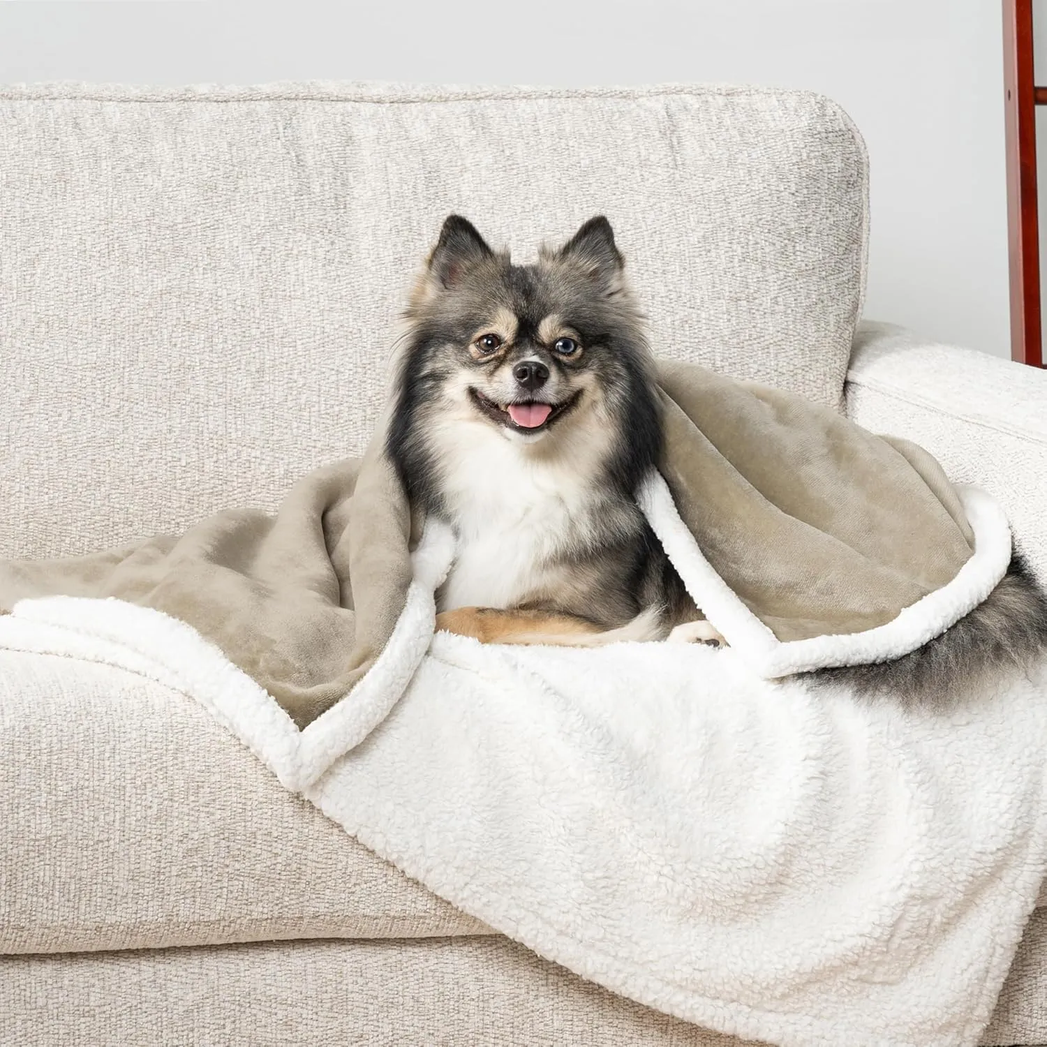 PetAmi Waterproof Dog Blanket for Small Medium Dog Puppy Cat Throw for Couch Cover Leakproof Protection, Sherpa Fleece, Reversible Soft Washable 29x40 Taupe
