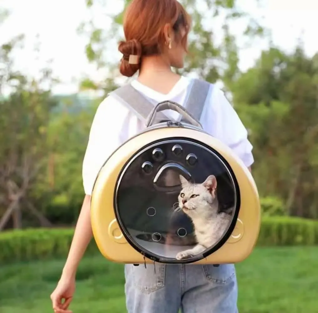 PetGains PGJB Transparent Fashionable Pet Carrier (Golden)