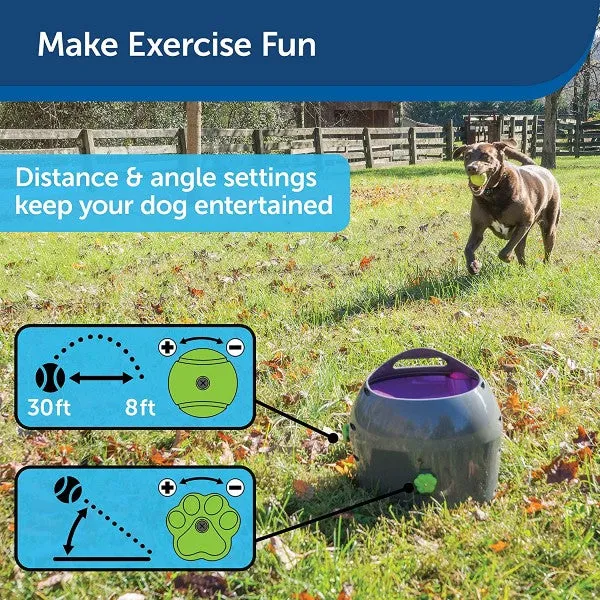 PetSafe Automatic Dog Toy Ball Launcher for Indoor & Outdoor Adjustable Range