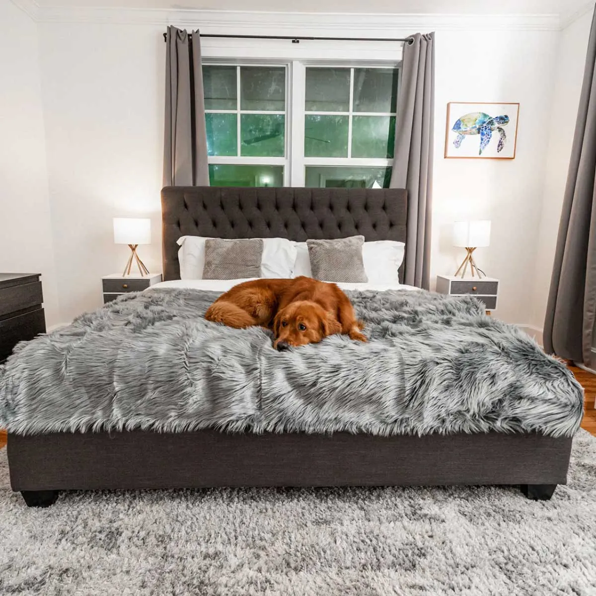 PupProtector Waterproof Throw Blanket -  Charcoal Faux Fur