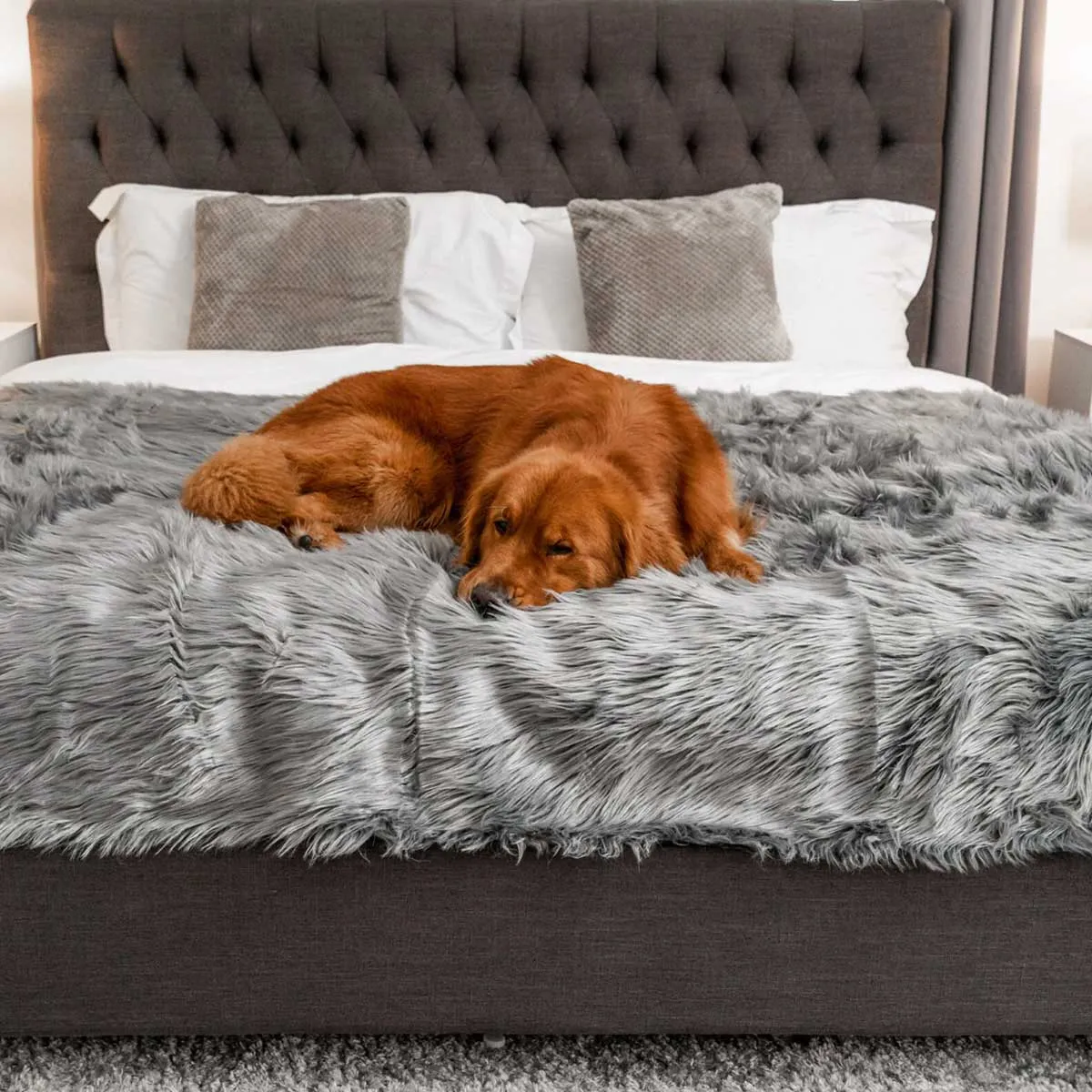 PupProtector Waterproof Throw Blanket -  Charcoal Faux Fur
