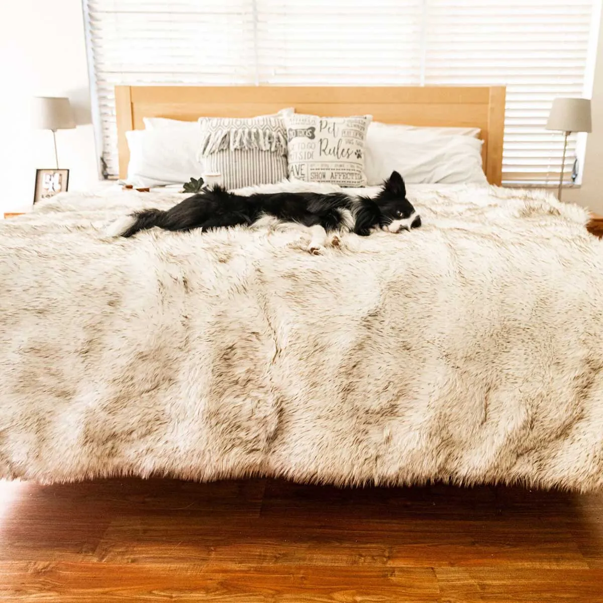 PupProtector Waterproof Throw Blanket - White w/Brown Accents