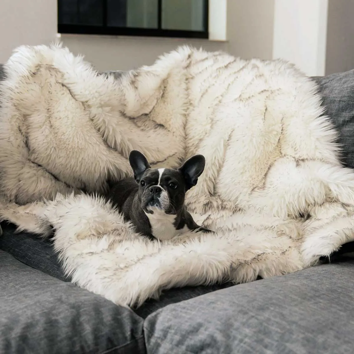 PupProtector Waterproof Throw Blanket - White w/Brown Accents