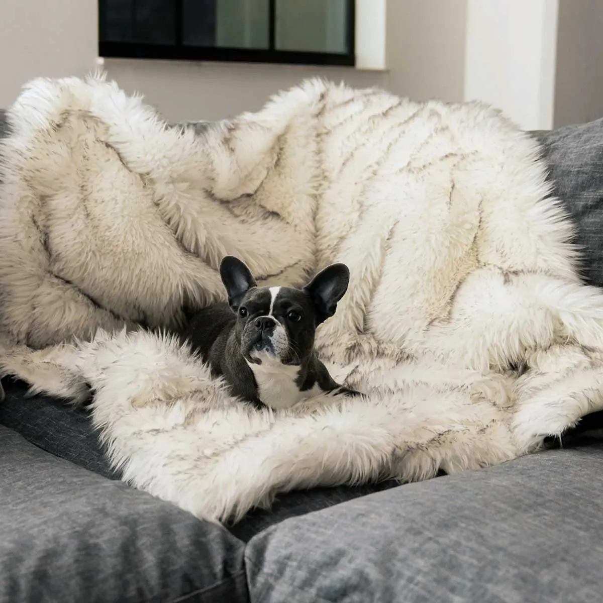 PupProtector Waterproof Throw Blanket - White w/Brown Accents