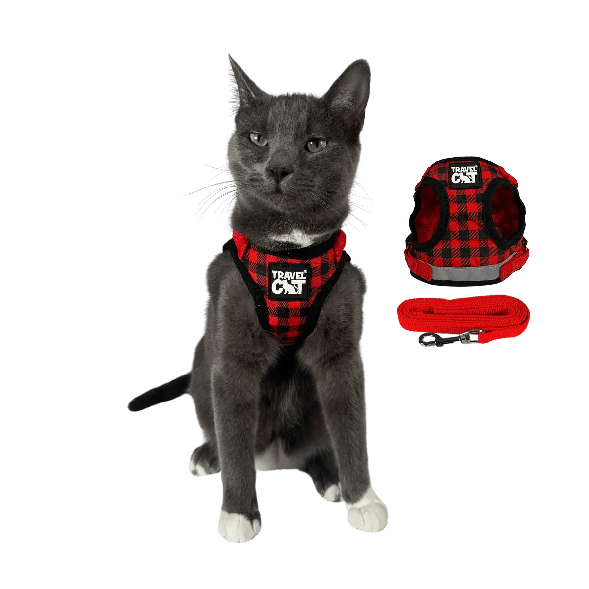"The True Adventurer" Reflective Cat & Kitten Harness and Leash