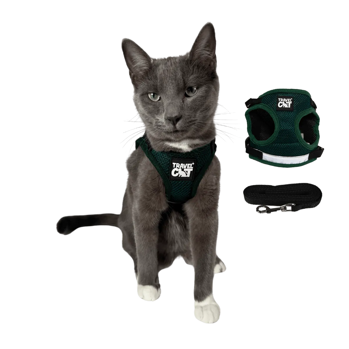 "The True Adventurer" Reflective Cat & Kitten Harness and Leash