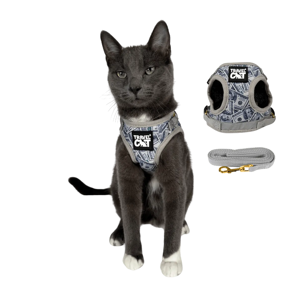 "The True Adventurer" Reflective Cat & Kitten Harness and Leash