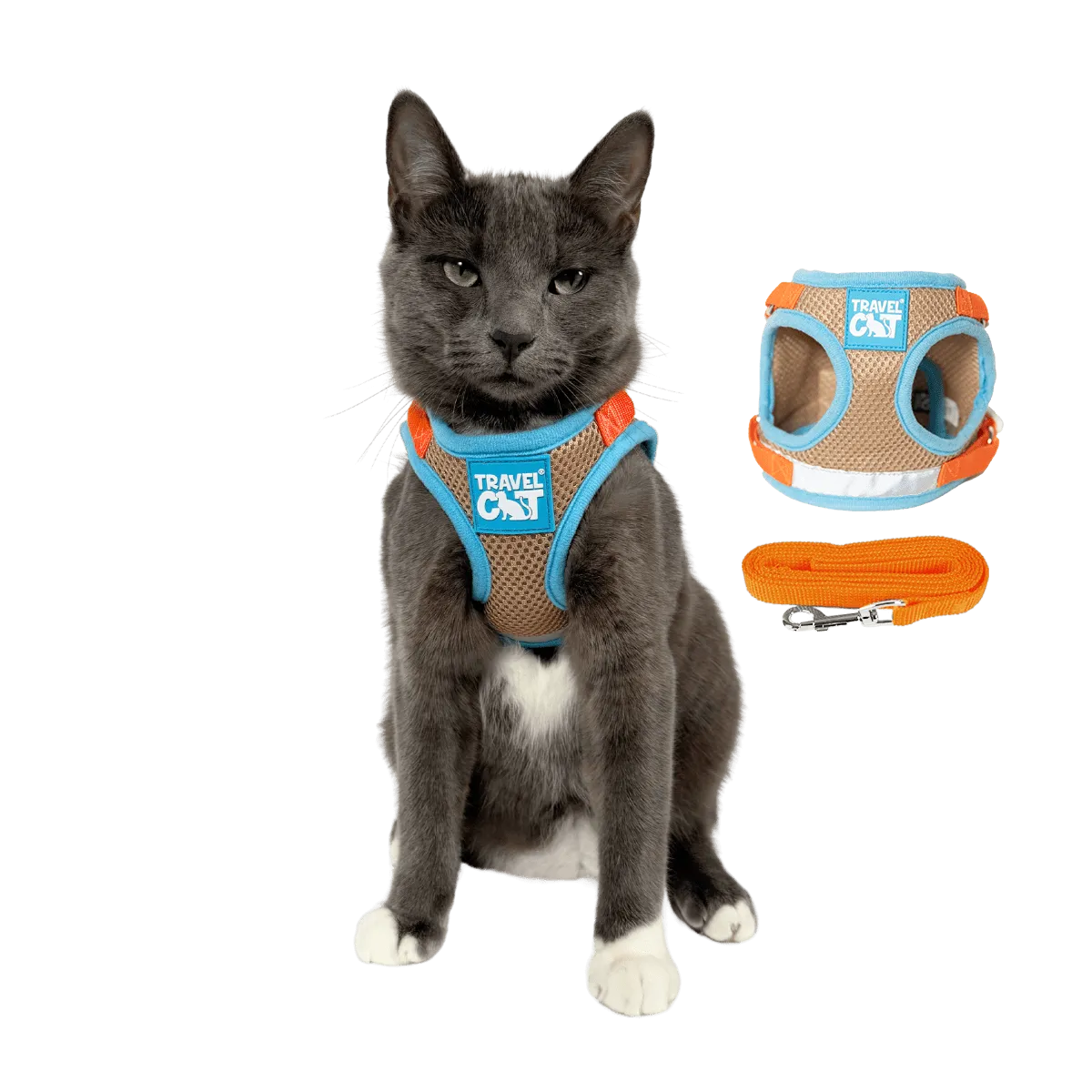 "The True Adventurer" Reflective Cat & Kitten Harness and Leash