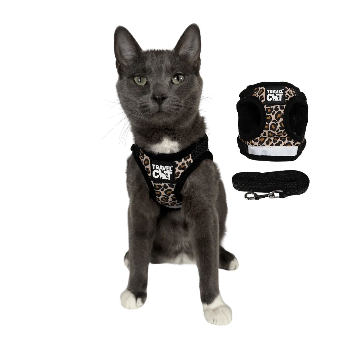 "The True Adventurer" Reflective Cat & Kitten Harness and Leash
