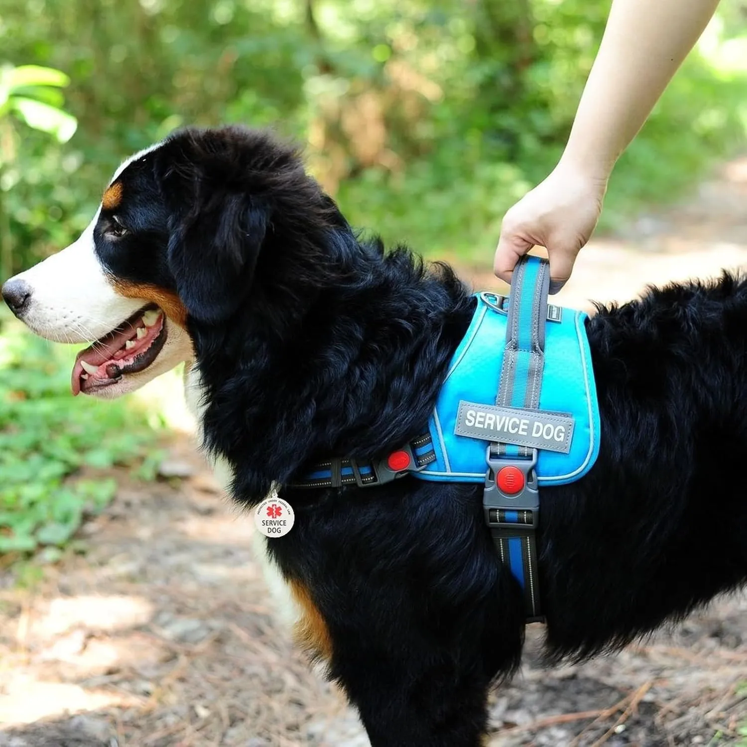 Service Dog Tag Easily Attach to Dog Collar, Harness, Vest (Large)