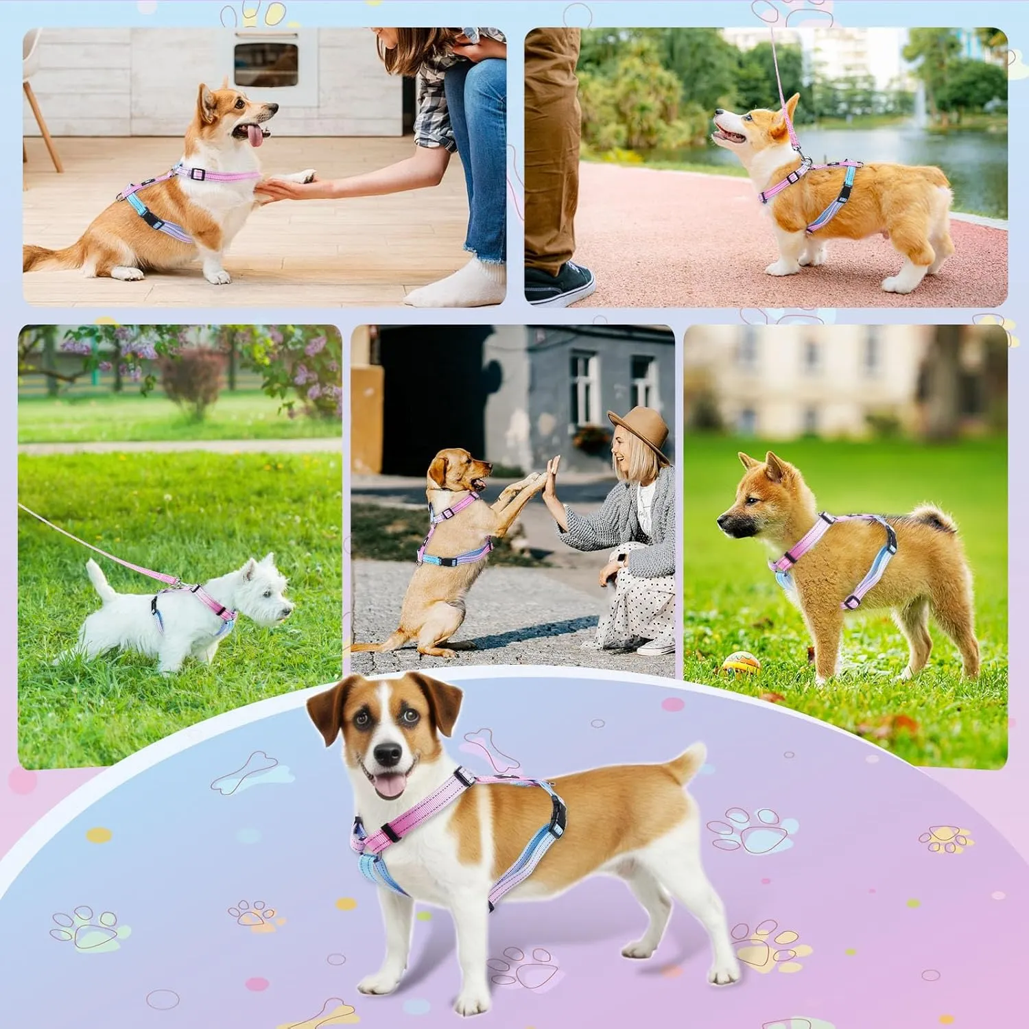 Small Dog Harness and Leash Set, No Pull Dog Harness Adjustable Reflective, Dog Halter Harnesses Comfort Padded Handle, Pet Harness for Training Outdoor Walking (BAYDREAMING, S)