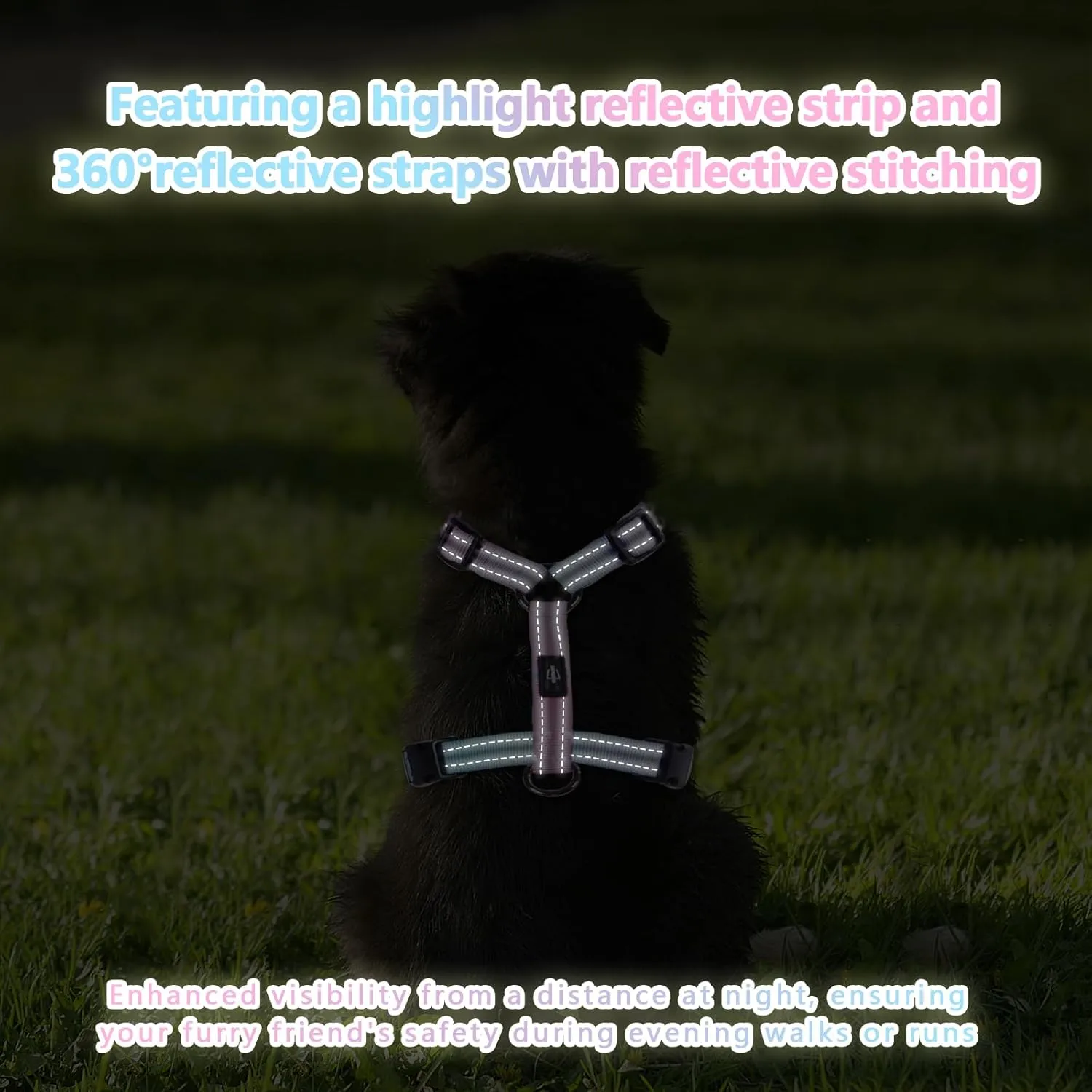 Small Dog Harness and Leash Set, No Pull Dog Harness Adjustable Reflective, Dog Halter Harnesses Comfort Padded Handle, Pet Harness for Training Outdoor Walking (BAYDREAMING, S)