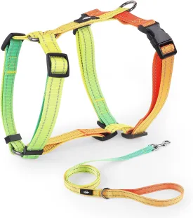 Small Dog Harness and Leash Set, No Pull Dog Harness Adjustable Reflective, Dog Halter Harnesses Comfort Padded Handle, Pet Harness for Training Outdoor Walking (VALLEYDAWN, S)