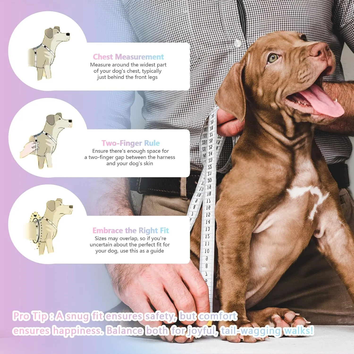 Small Dog Harness and Leash Set, No Pull Dog Harness Adjustable Reflective, Dog Halter Harnesses Comfort Padded Handle, Pet Harness for Training Outdoor Walking (VALLEYDAWN, S)