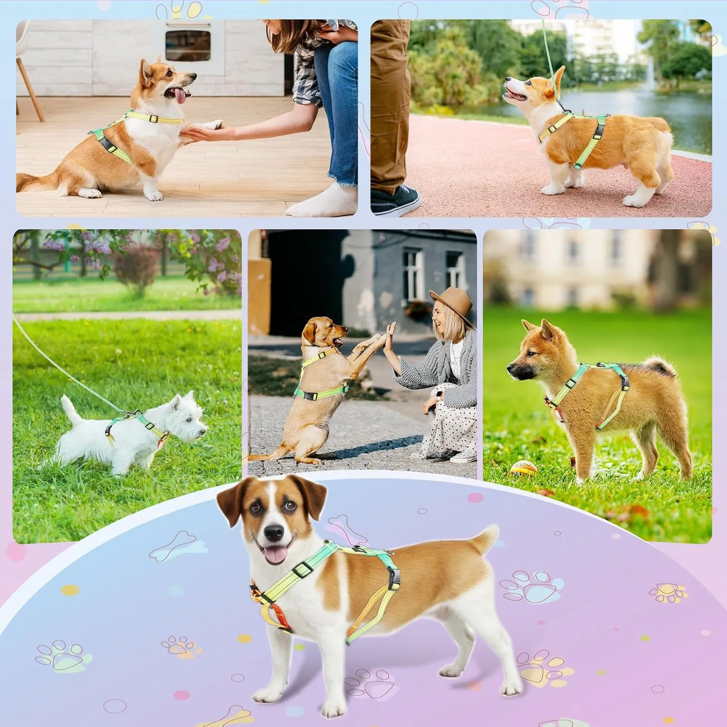 Small Dog Harness and Leash Set, No Pull Dog Harness Adjustable Reflective, Dog Halter Harnesses Comfort Padded Handle, Pet Harness for Training Outdoor Walking (VALLEYDAWN, S)
