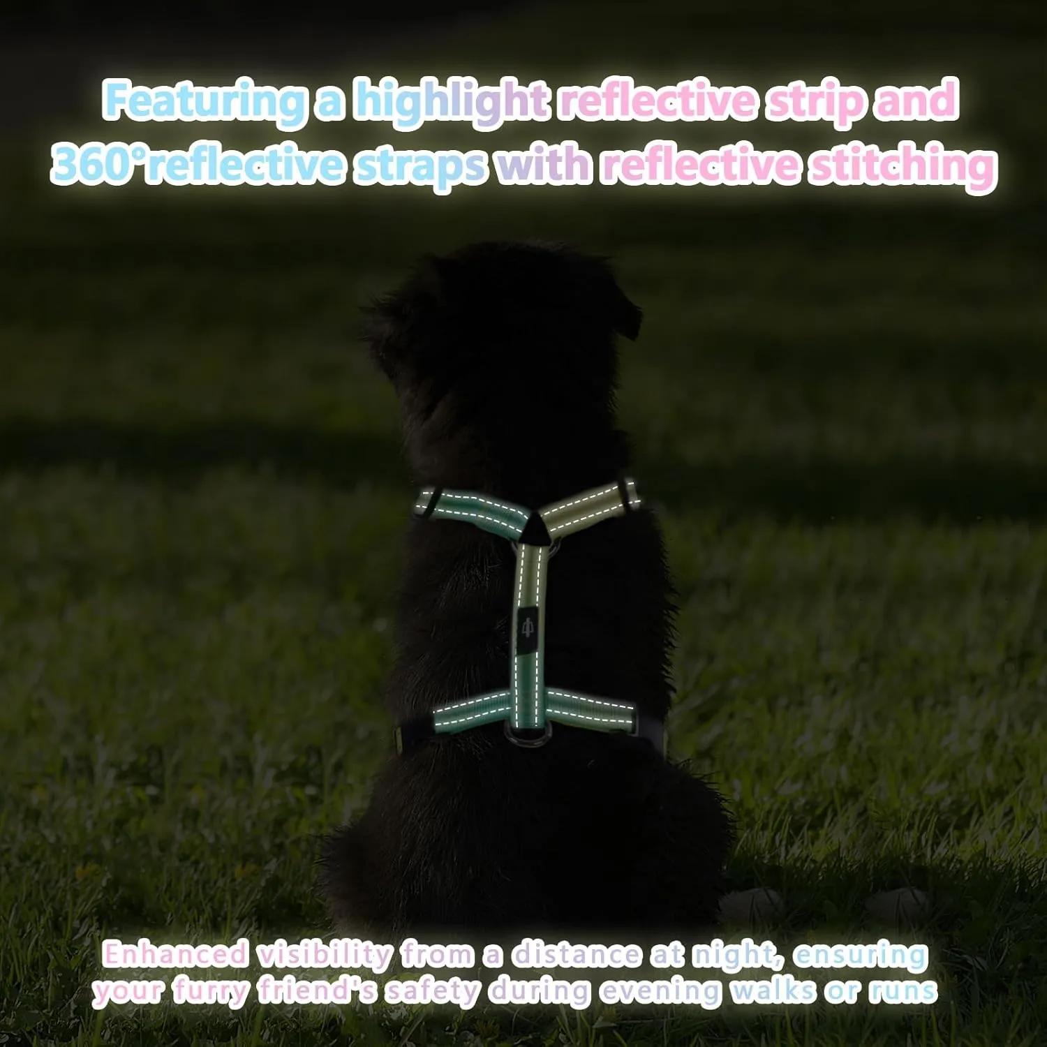 Small Dog Harness and Leash Set, No Pull Dog Harness Adjustable Reflective, Dog Halter Harnesses Comfort Padded Handle, Pet Harness for Training Outdoor Walking (VALLEYDAWN, S)