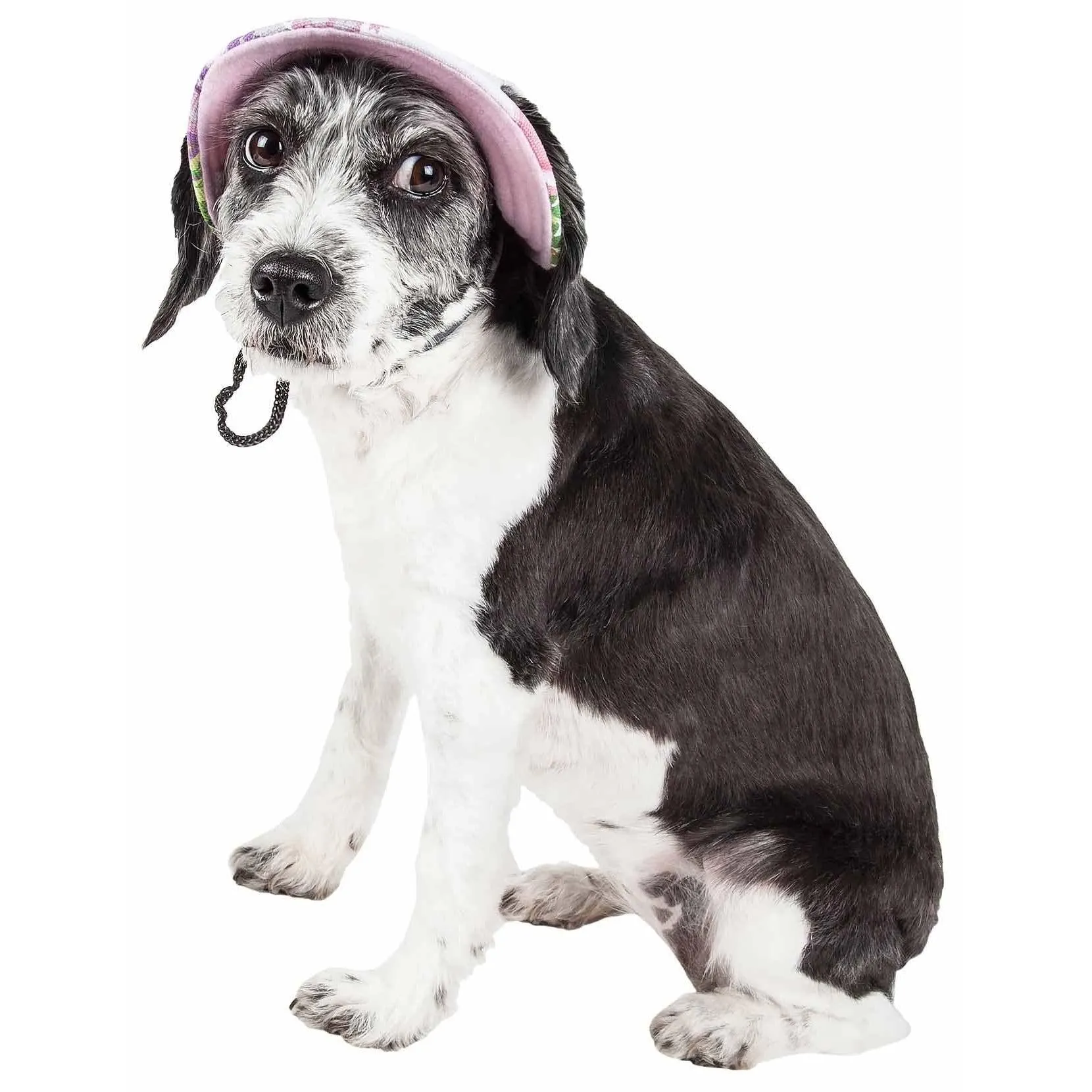 Stylish UV protection dog hat