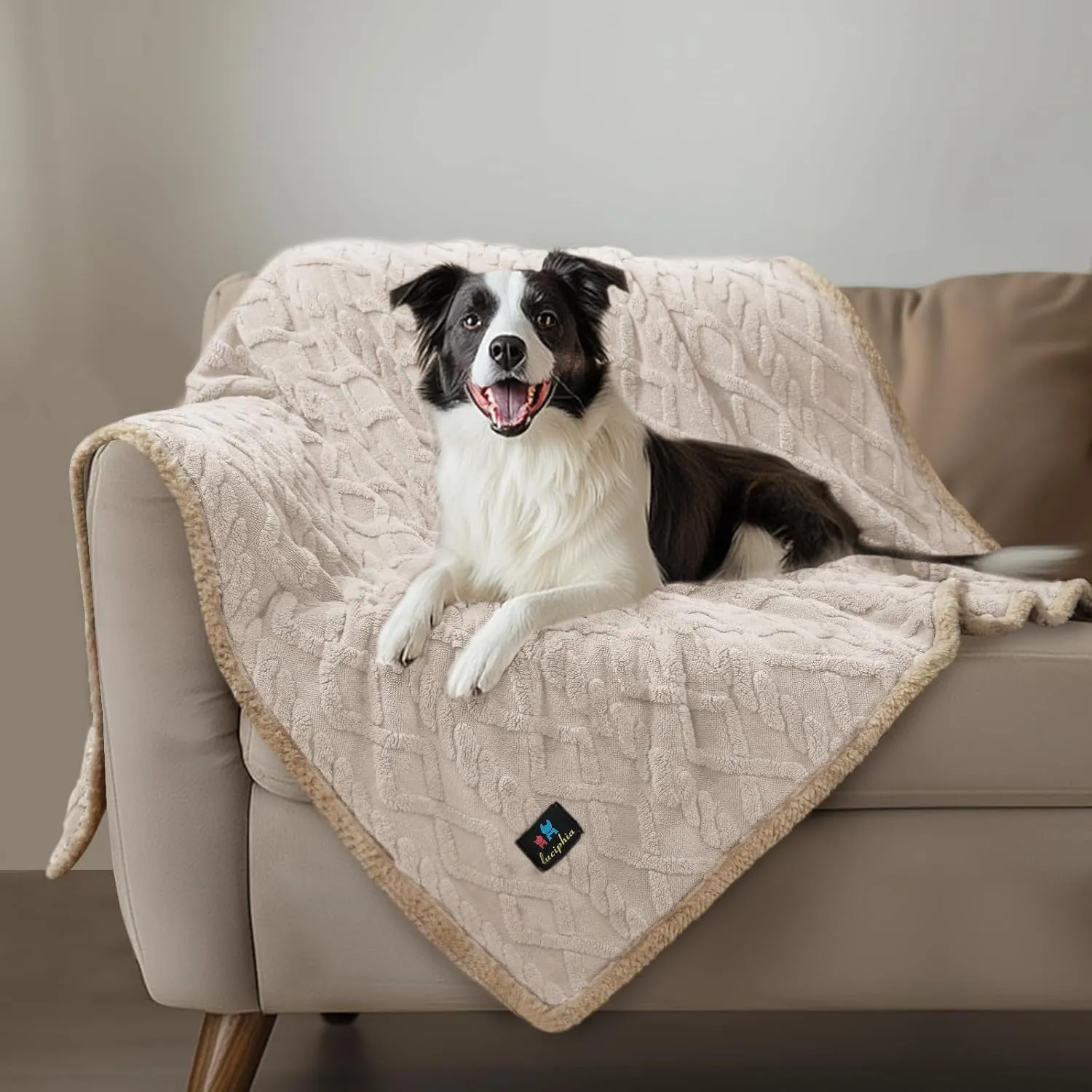 Waterproof Pet Blanket, Liquid Pee Proof Dog Blankets for Sofa Bed Couch, Reversible Sherpa Fleece Furniture Protector Cover for Small Medium Large Dogs Cats,Beige-Thicken Large65" x 57"