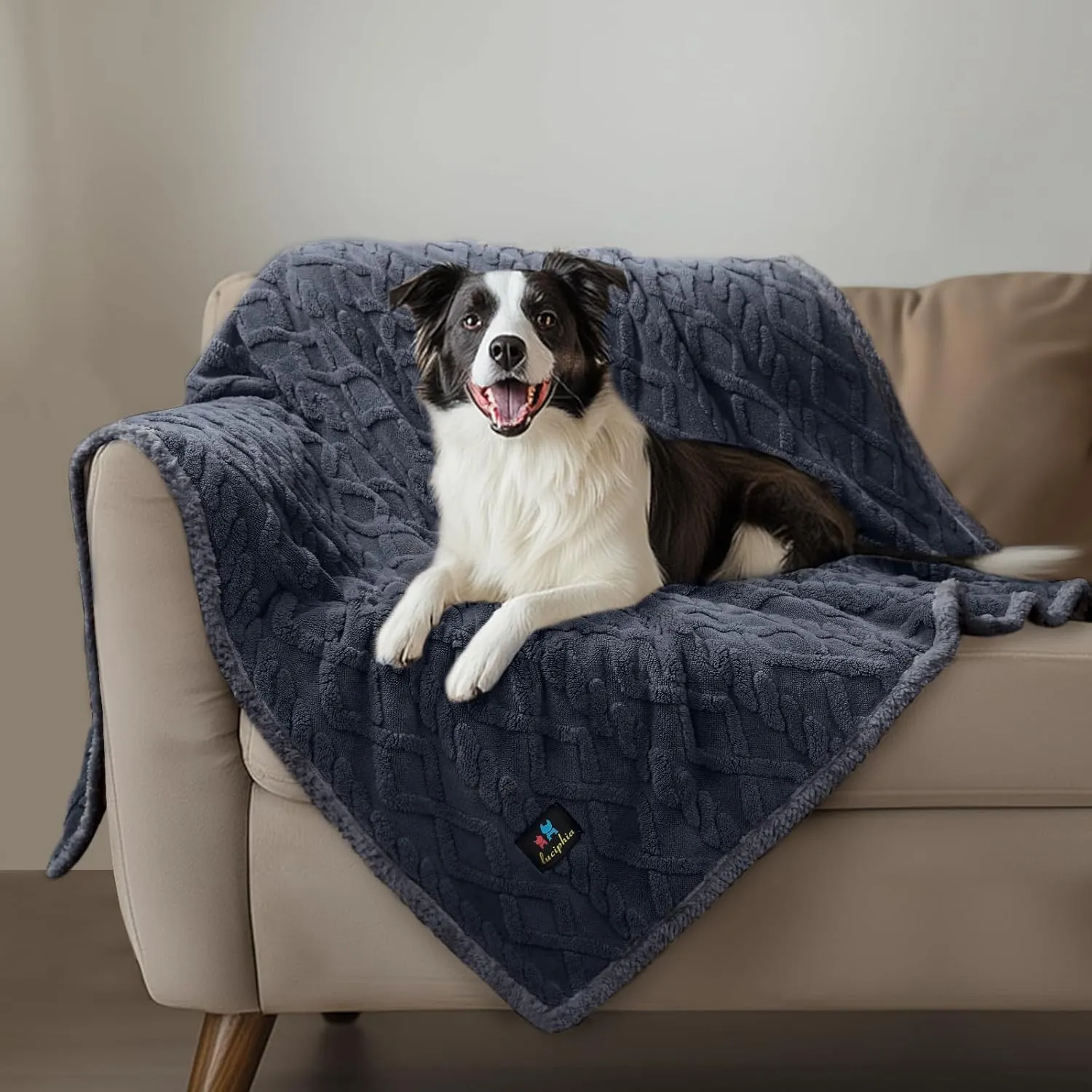 Waterproof Pet Blanket, Liquid Pee Proof Dog Blankets for Sofa Bed Couch, Reversible Sherpa Fleece Furniture Protector Cover for Small Medium Large Dogs Cats,Dark Grey X-Large85" x 57"