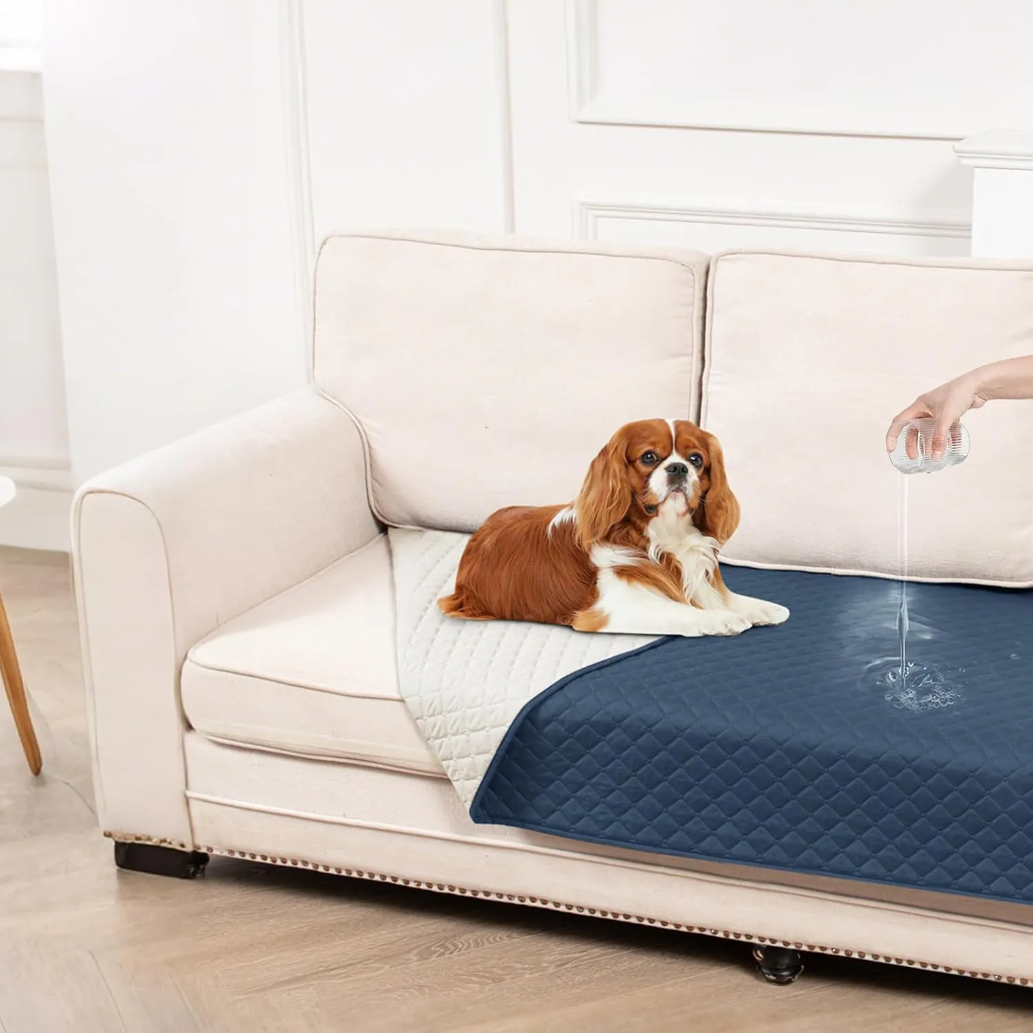 Waterproof Sofa Couch Protector Dog Bed Cover Pet Blanket for Furniture Non-Slip Washable Pee Pads for Puppy Large Dogs Cats (Blue,30x70 in)