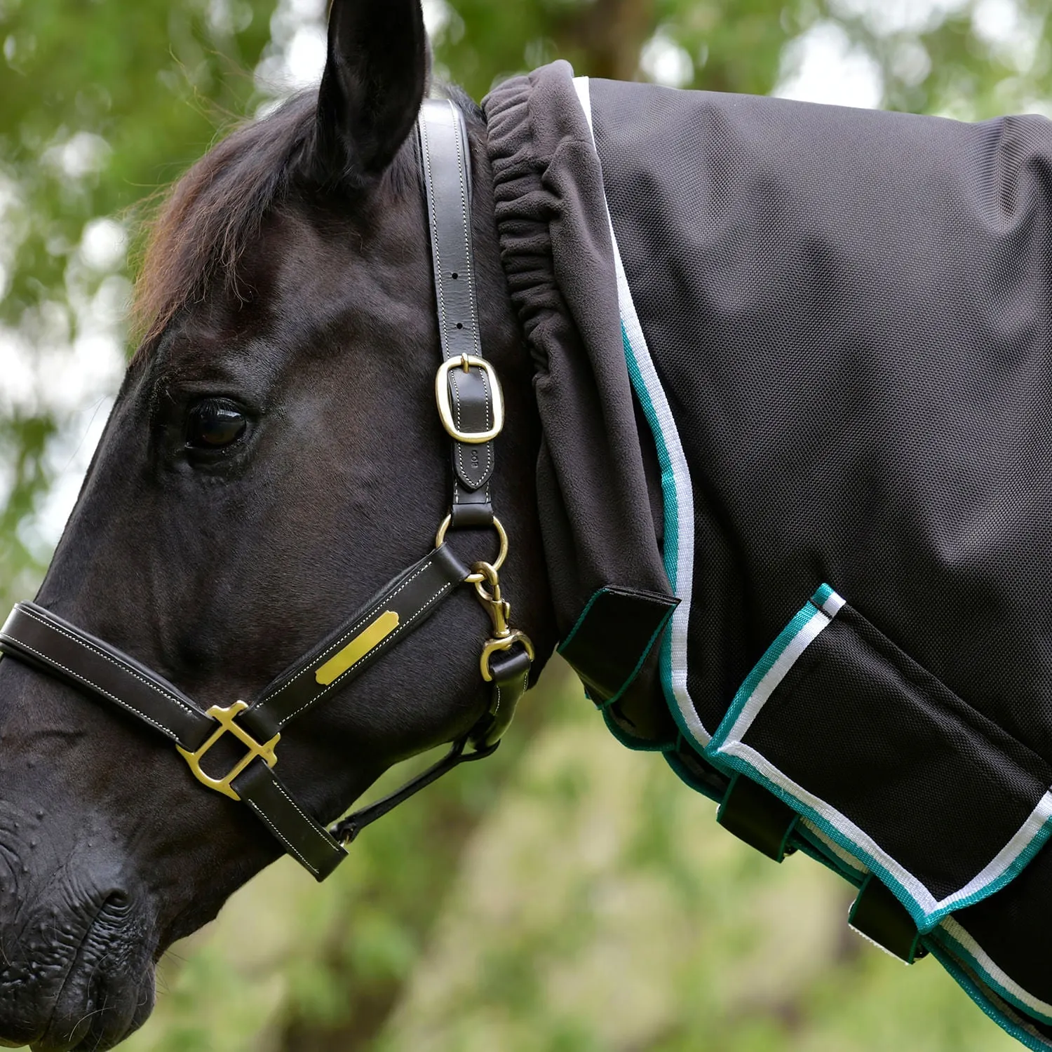 WeatherBeeta ComFITec Ultra Cozy III Detach-a-Neck Heavy Horse Blanket